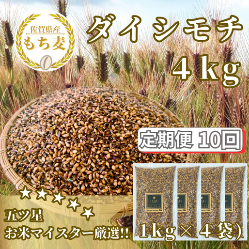 CIC22_【１０回定期便】ダイシモチ４ｋｇ もち麦 キラリ も
