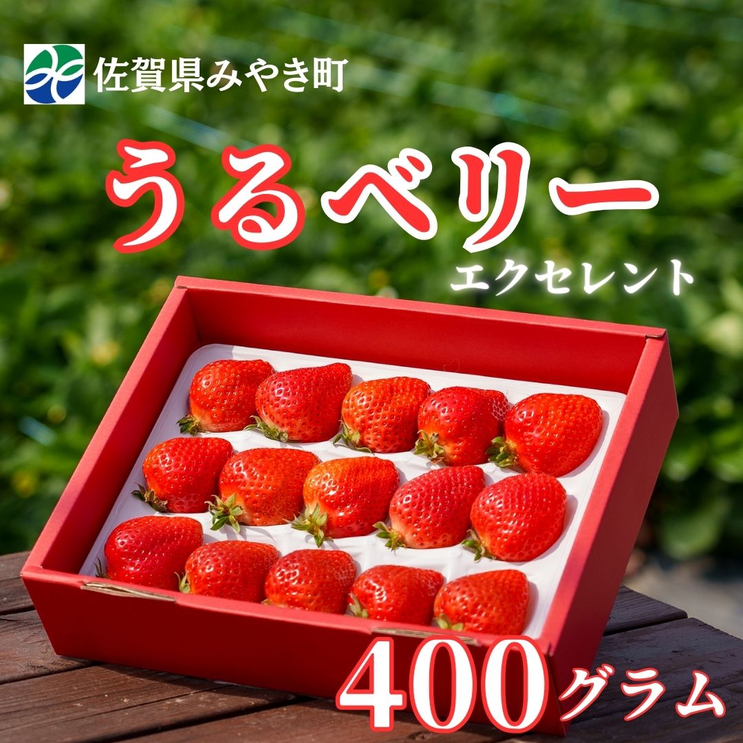 GF003_【2025年11月中旬～2026年4月発送】エクセレント400ｇ