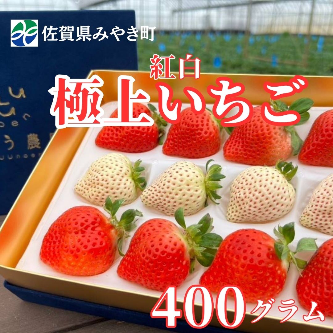 GF006_【2025年11月中旬～2026年4月発送】極上 紅白いちご 400ｇ