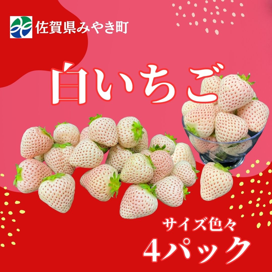 GF010_【2025年11月中旬～2026年4月発送】白いちごサイズ色々4