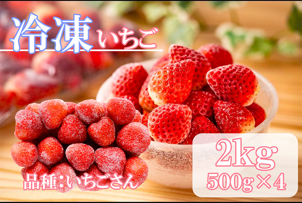 DV228_冷凍いちご（いちごさん）2kg(500gX4)