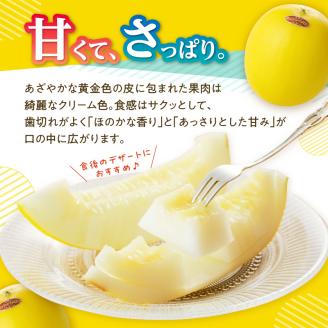 ★予約受付★（2026年5月以降発送）玄海町産キンショウメロン～4個～