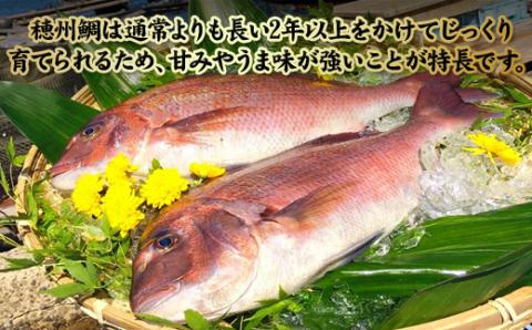 今夜は高級鯛しゃぶセット（3月配送）／ 穂州鯛 ブランド鯛 渡邉水産 しゃぶしゃぶ 鍋 サク 柵 湯引き 皮つき 松皮造り 鮮魚 真鯛 マダイ 鯛 タイ 鯛しゃぶ 刺身 魚 魚介 海鮮 養殖 国産 佐賀県 玄海町 3月配送