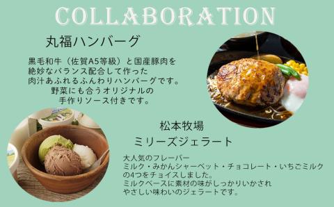 ハンバーグ＆ジェラートセット