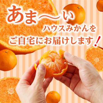 ★予約受付★【2026年6月以降配送】佐賀県産ハウスみかん　約1.5kg【件数限定】