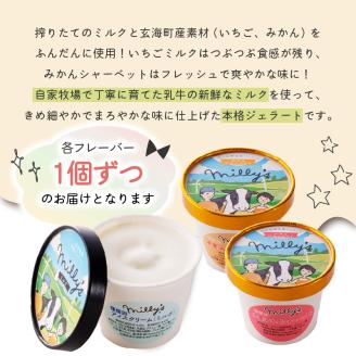 松本牧場アイス定期便（12個入り×3回） ～本格ジェラート＆シャーベット～ 12個×3回