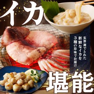 イカの珍味3点セット