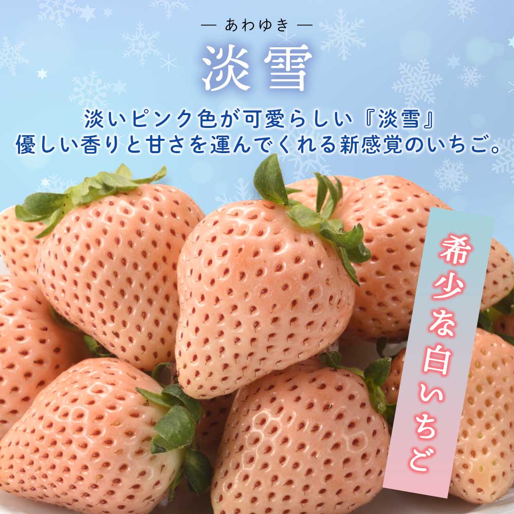 こおりいちご 1kg 品種：淡雪（あわゆき）