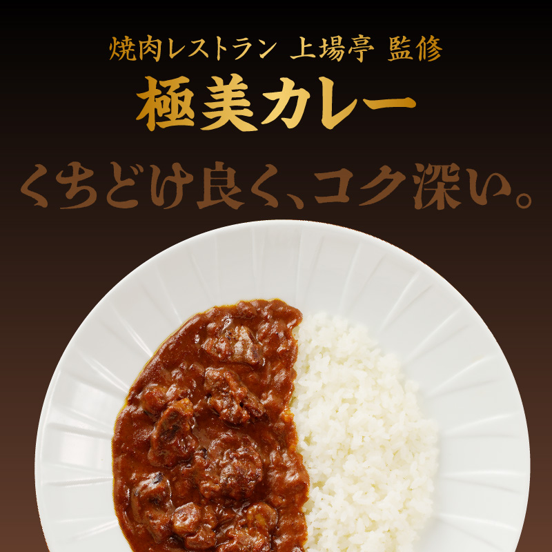 佐賀牛極美カレー（中辛）【200ｇ×5箱】