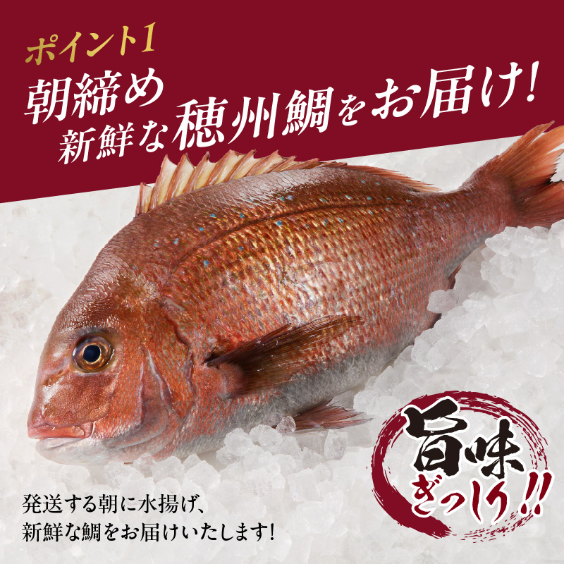 朝締め穂州鯛　サク2人前（4月配送）／ ブランド鯛 渡邉水産 産地直送 サク 柵 湯引き 皮つき 松皮造り 新鮮 鮮魚 真鯛 マダイ 鯛 タイ 鯛しゃぶ 刺身 お刺身 魚 魚介 海鮮 養殖 国産 佐賀県 玄海町 冷蔵 4月配送 サク2人前