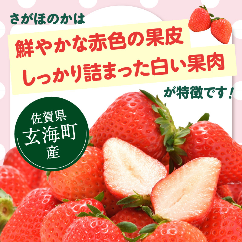 ★予約受付★佐賀県玄海町産さがほのかDX（2026年1月～5月中にお届け） 【通常】2箱（4パック）