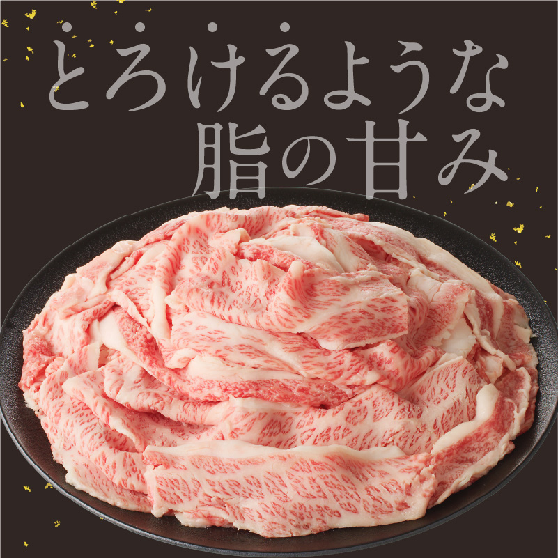 【訳あり】佐賀牛切り落とし 2kg（1月配送） ／  中山牧場 産地直送 牛肉 肉 お肉 佐賀牛 切り落とし 薄切り スライス 小分け 牛丼 肉じゃが すき焼き しゃぶしゃぶ 国産 黒毛和牛 佐賀県産和牛 A5 A4 a5 a4 国産 佐賀県 玄海町 冷凍 人気 おすすめ 送料無料 1月配送 2kg