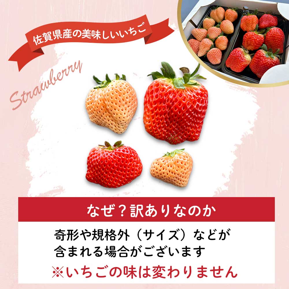 ★予約受付★杉山いちご農園【2026年2月～5月 順次配送】玄海町産いろどりいちご詰め合わせ（家庭用・訳あり）