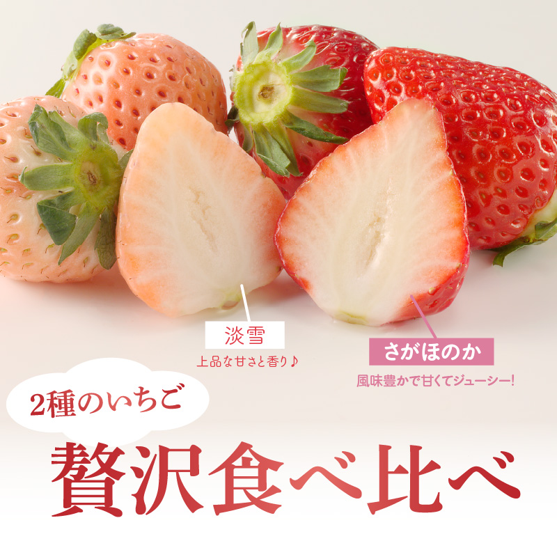★予約受付★杉山いちご農園 希少！白いちご「淡雪（あわゆき）」と「さがほのか」ギフトセット　2026年1月～5月中に順次配送