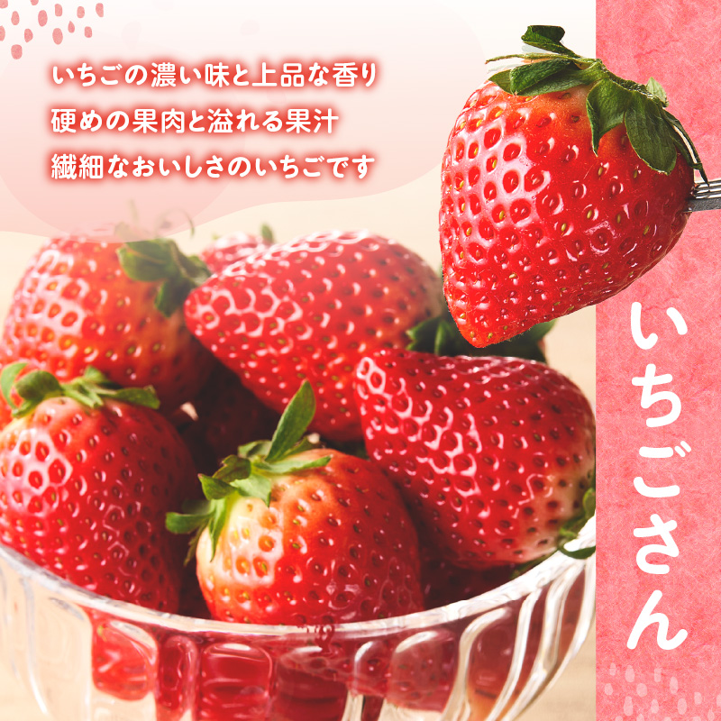 ★予約受付★平川いちご農園 佐賀県玄海町産いちご「いちごさんDX」2026年1月～4月順次配送