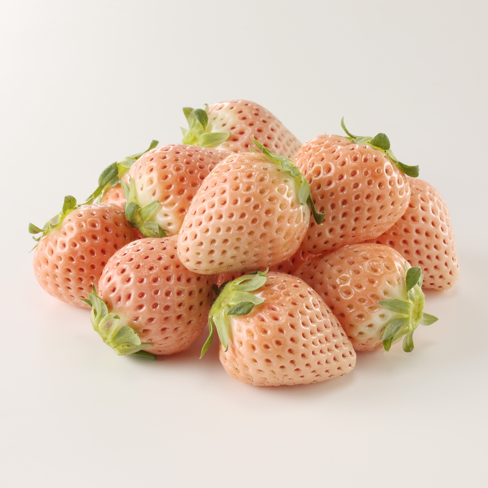 【定期便6回】旬のフルーツ定期便 ／ いちご キンショウメロン ハウスみかん 温室みかん イチゴ 苺 さがほのか 淡雪 真紅の美鈴 白いちご 黒いちご 果物 定期便 セット 冷蔵 佐賀県 玄海町