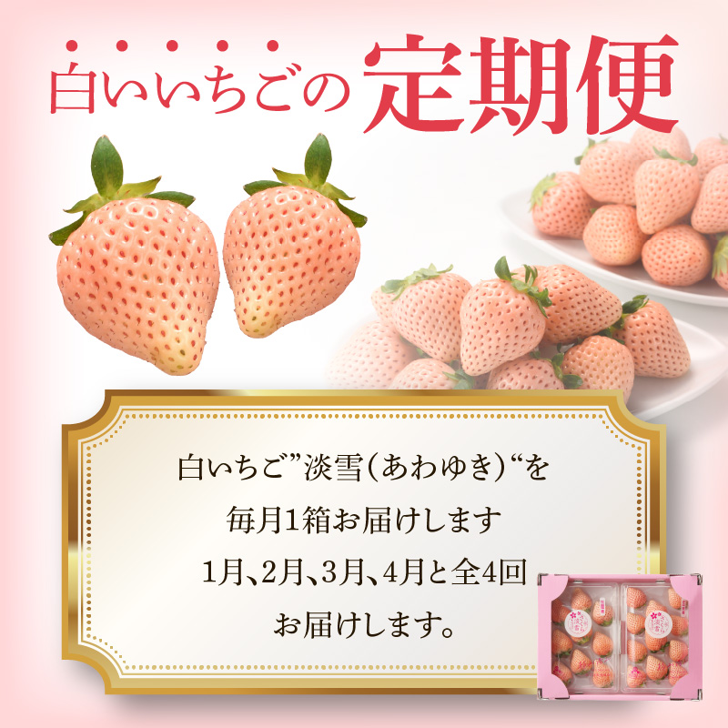 ★予約受付★杉山いちご農園 玄海町産いちご“淡雪（あわゆき）”　毎月定期便 定期便（1箱2パック）