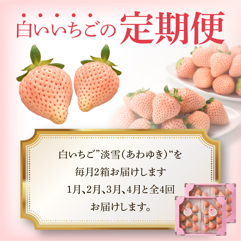 ★予約受付★杉山いちご農園 玄海町産いちご“淡雪（あわゆき）”　毎月定期便DX 定期便（2箱4パック）