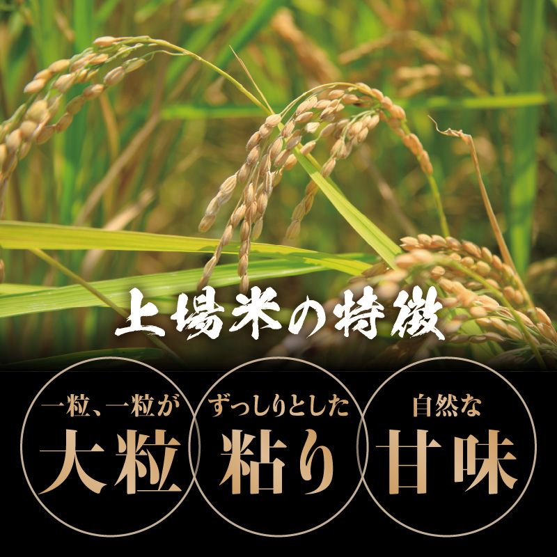 上場米こしひかり定期便（10kg×3ヶ月） 3回 10kg