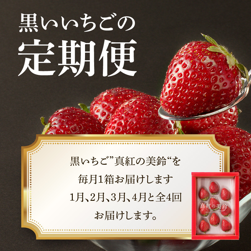 ★予約受付★杉山いちご農園 玄海町産いちご“真紅の美鈴（しんくのみすず）”毎月定期便