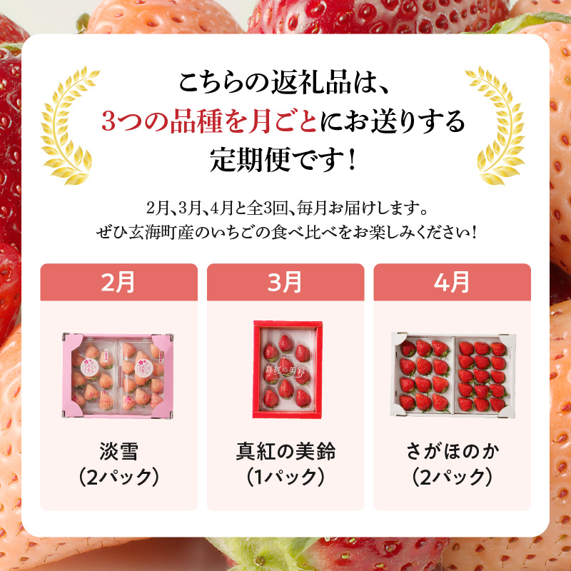 ★予約受付★杉山いちご農園 玄海町産いちご　ミックス定期便 ミックス定期便