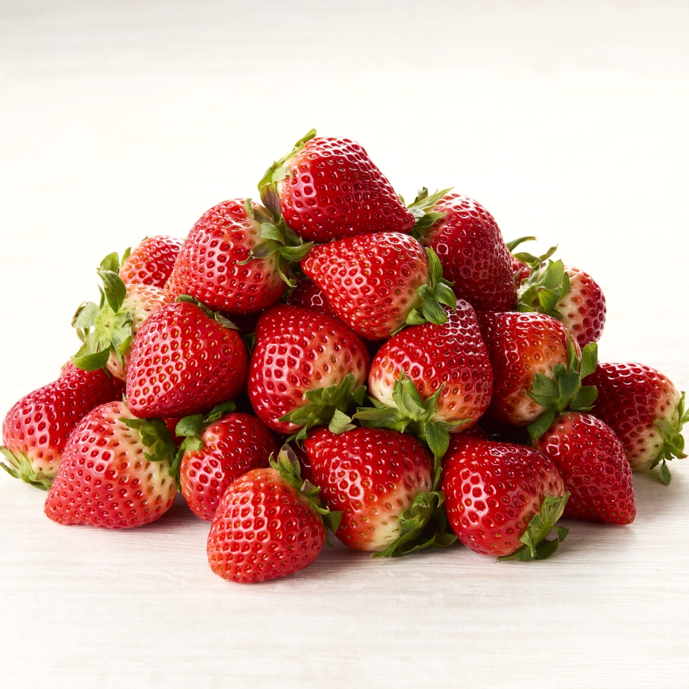 おすすめ定期便（12回） 12回