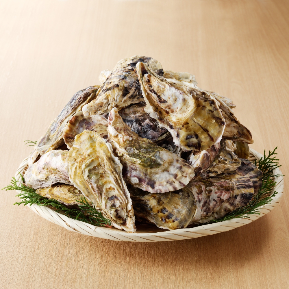 海鮮Premium定期便（12回） 12回