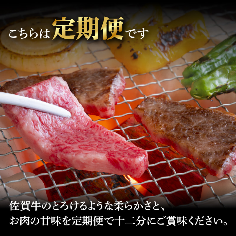 トップブランド牛「佐賀牛カルビ焼肉用」　定期便