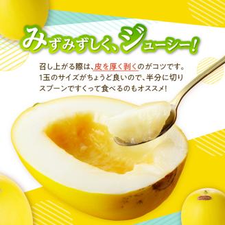 ★予約受付★（2026年5月以降発送）玄海町産キンショウメロン～4個～