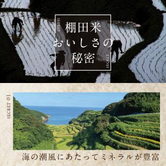 浜野浦の棚田米 5kg ／ 米 お米 精米 白米 新米 ご飯 棚田 産地直送 数量限定 佐賀県 玄海町 常温 5kg