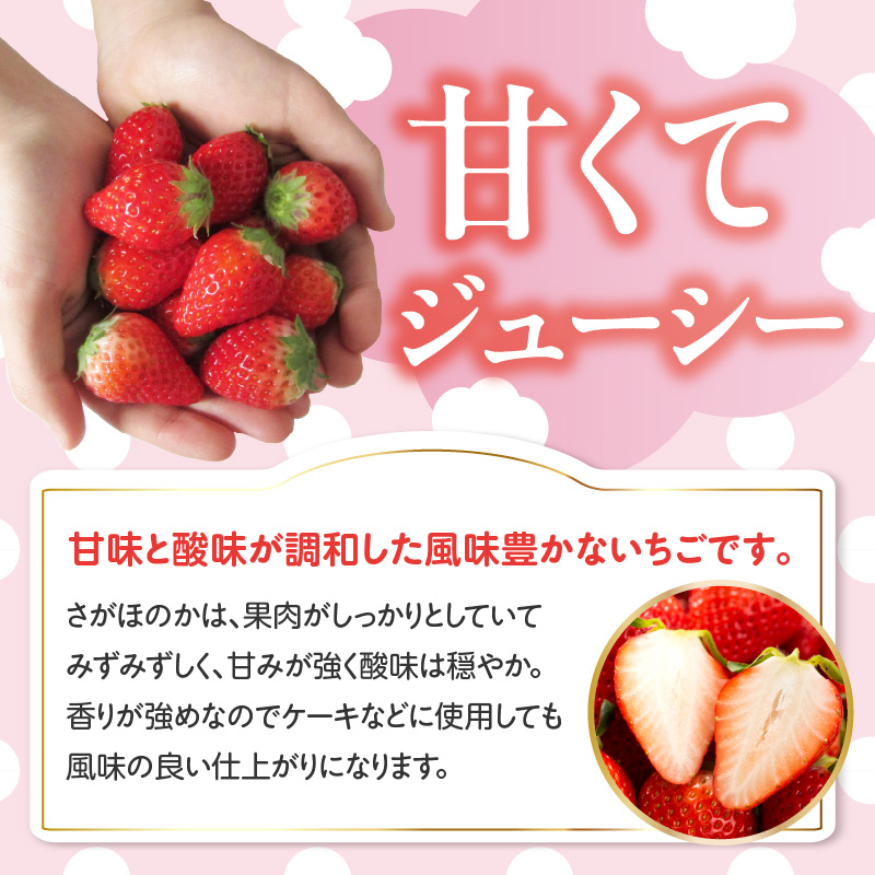 ★予約受付★佐賀県玄海町産さがほのか（2026年1月～5月中にお届け） 【通常】1箱（2パック）
