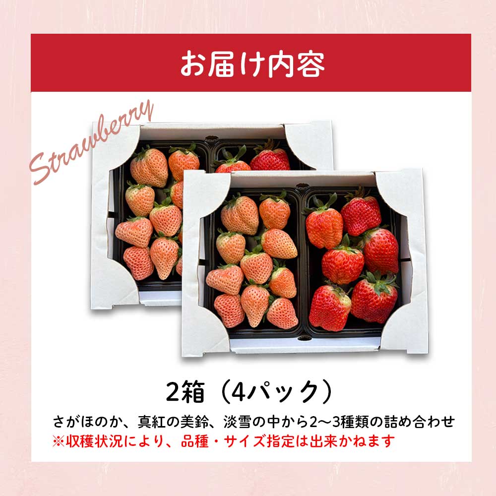 ★予約受付★杉山いちご農園【2026年2月～5月 順次配送】玄海町産いろどりいちご詰め合わせ（家庭用・訳あり）