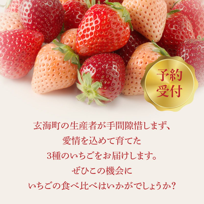 ★予約受付★杉山いちご農園 豪華！3色いちご食べ比べセット　2026年1月～5月中に順次配送