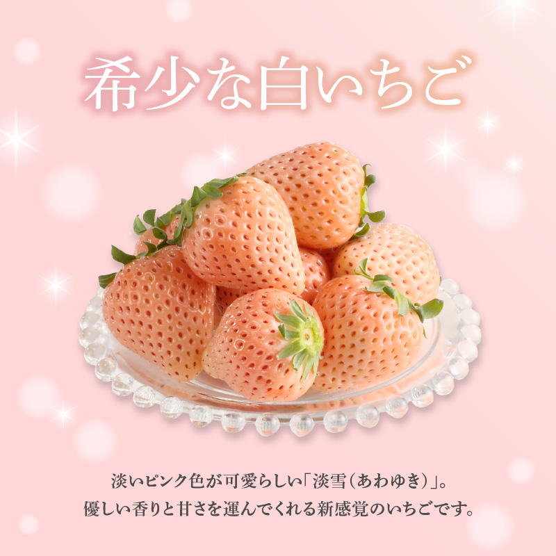 ★予約受付★杉山いちご農園 希少！白いちご「淡雪（あわゆき）」と「さがほのか」ギフトセット　2026年1月～5月中に順次配送