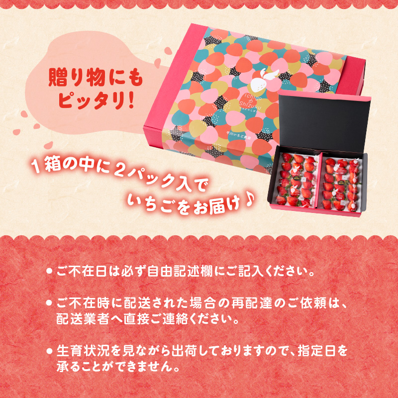 ★予約受付★平川いちご農園 佐賀県玄海町産いちご「さがほのか」2026年1月～4月順次配送