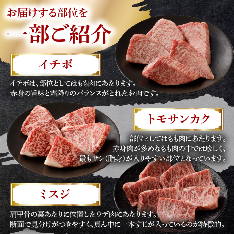 中山牧場 佐賀牛希少部位まるごとセット ／ バーベキュー BBQ 牛肉 肉 お肉 佐賀牛 赤身 霜降り モモ ウデ 肩ロース 三角バラ 焼き肉 焼肉セット A5 A4 a5 a4 黒毛和牛 ブランド牛 国産 佐賀県 玄海町 冷凍