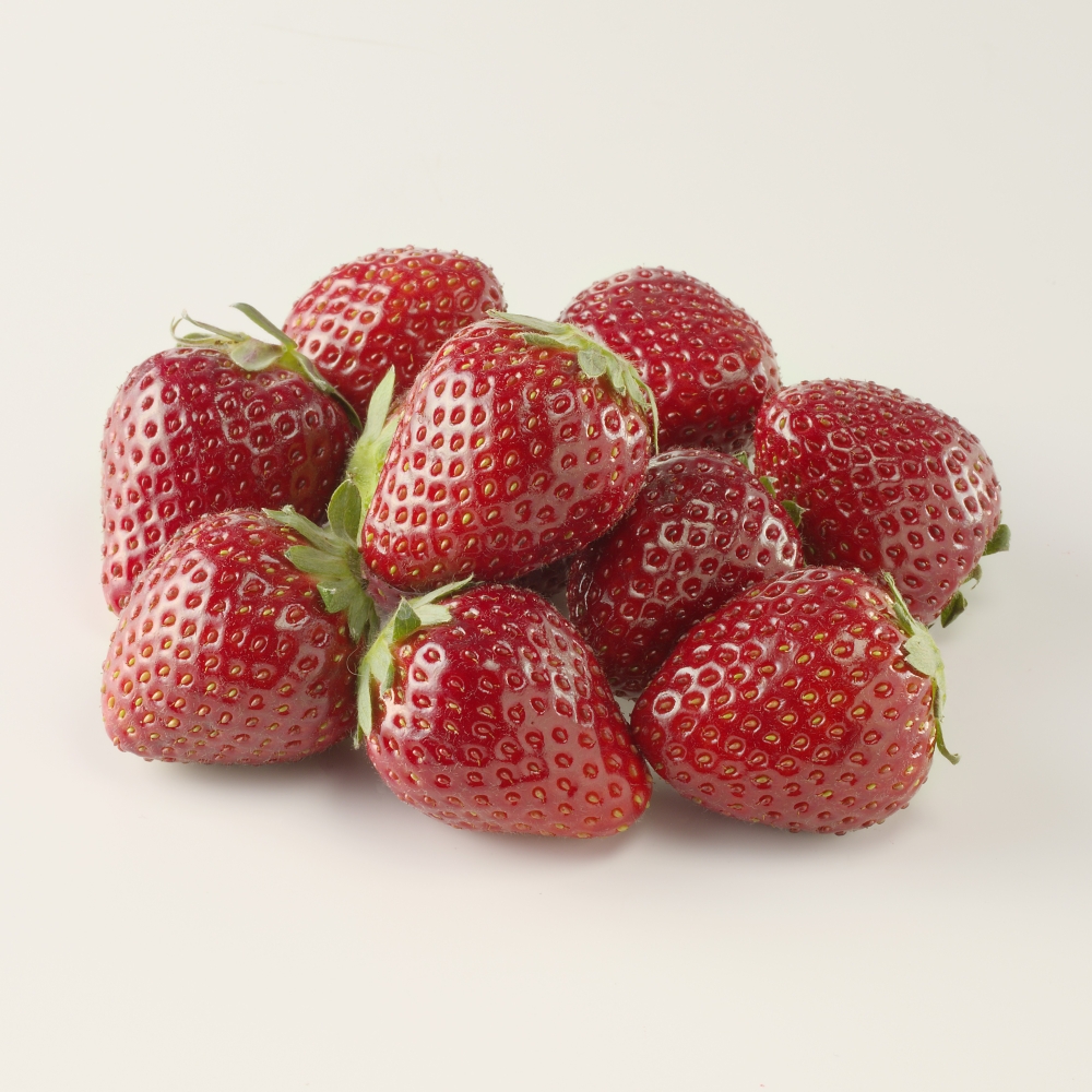 【定期便6回】旬のフルーツ定期便 ／ いちご キンショウメロン ハウスみかん 温室みかん イチゴ 苺 さがほのか 淡雪 真紅の美鈴 白いちご 黒いちご 果物 定期便 セット 冷蔵 佐賀県 玄海町