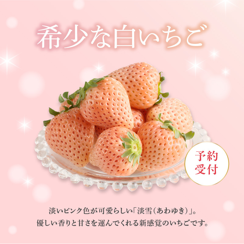 ★予約受付★杉山いちご農園 玄海町産いちご“淡雪（あわゆき）”　毎月定期便DX 定期便（2箱4パック）