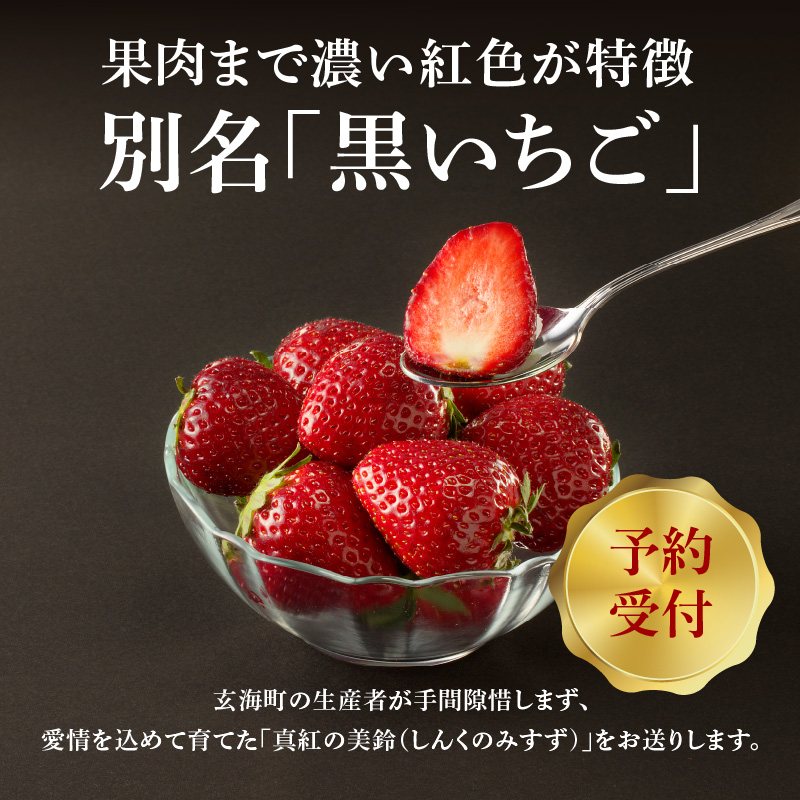 ★予約受付★杉山いちご農園 玄海町産いちご“真紅の美鈴（しんくのみすず）”毎月定期便