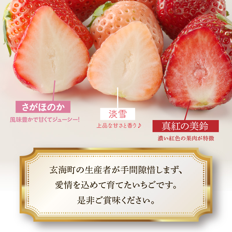 ★予約受付★杉山いちご農園 玄海町産いちご　ミックス定期便 ミックス定期便