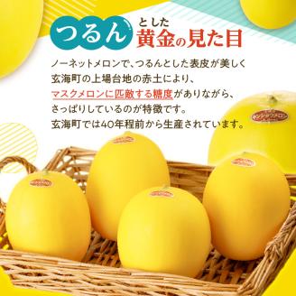 ★予約受付★（2026年5月以降発送）玄海町産キンショウメロン～4個～