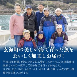揚げ物おかずセット（アジフライ8枚＋コロッケ15個）／ 丸福水産 簡単調理 お手軽 揚げ物 お惣菜 おかず あじ アジ 鯵 イカ いか 烏賊 コロッケ フライ 国産 冷凍