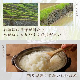 浜野浦の棚田米 5kg ／ 米 お米 精米 白米 新米 ご飯 棚田 産地直送 数量限定 佐賀県 玄海町 常温 5kg