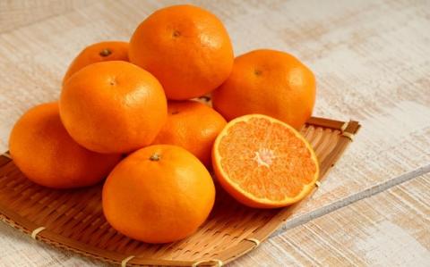 丸福 お肉とフルーツの定期便【全12回配送】／ 佐賀牛 ハンバーグ キンショウメロン ハウスみかん 肉 牛肉 鶏肉 豚肉 モモ ロース スライス すき焼き しゃぶしゃぶ 旬 フルーツ 果物 セット 国産 佐賀県 玄海町