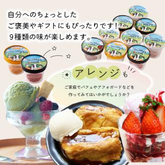 松本牧場アイス定期便（9個入り×2回） ～本格ジェラート＆シャーベット～ 9個×2回