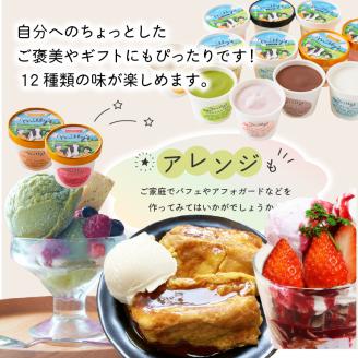 松本牧場アイス定期便（12個入り×2回） ～本格ジェラート＆シャーベット～ 12個×2回