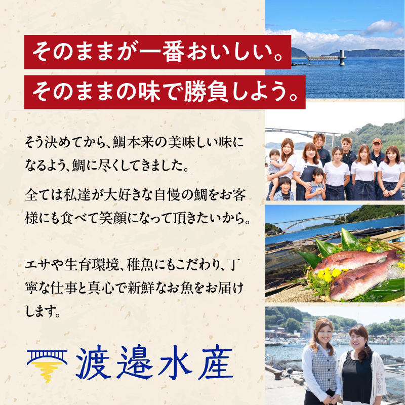 今夜は高級鯛しゃぶセット（12月配送）／ 穂州鯛 ブランド鯛 渡邉水産 しゃぶしゃぶ 鍋 サク 柵 湯引き 皮つき 松皮造り 鮮魚 真鯛 マダイ 鯛 タイ 鯛しゃぶ 刺身 魚 魚介 海鮮 養殖 国産 佐賀県 玄海町 12月配送