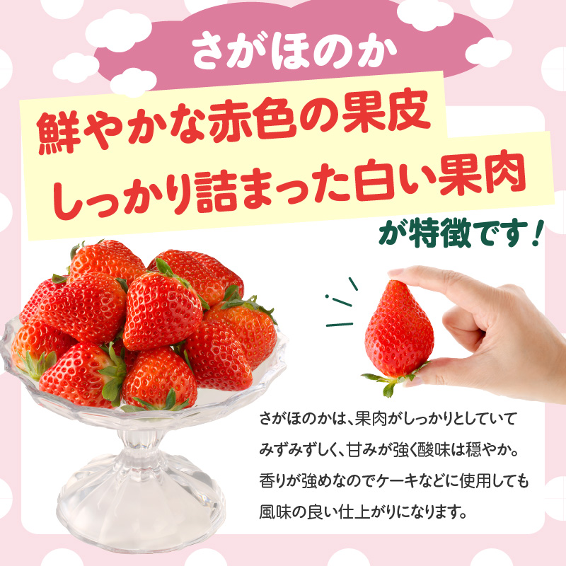 ★予約受付★杉山いちご農園 希少！白いちご「淡雪（あわゆき）」と「さがほのか」ギフトセット　2026年1月～5月中に順次配送