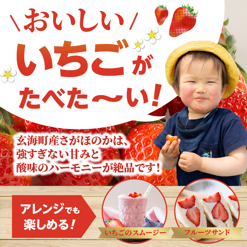 ★予約受付★渡邉農園 佐賀県玄海町産さがほのか（2026年1月～4月中にお届け） 1箱（2パック）
