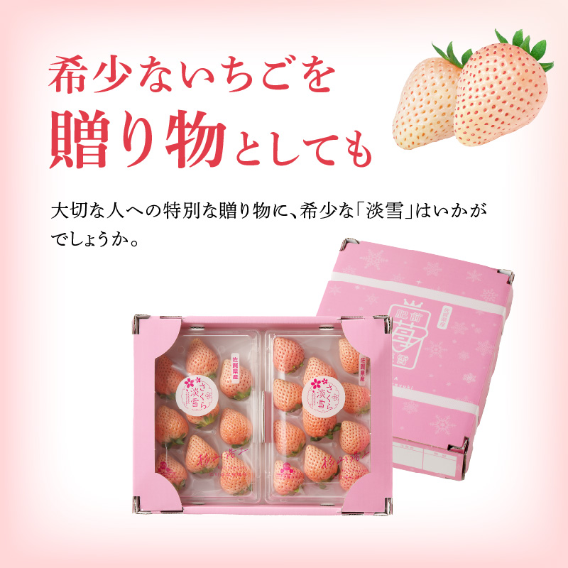 ★予約受付★杉山いちご農園 白いちご「淡雪（あわゆき）DX」2026年1月～4月中に順次配送 2箱4パック